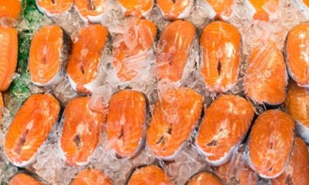 Tips Memilih Ikan Salmon Segar Di Pasar Atau Supermarket