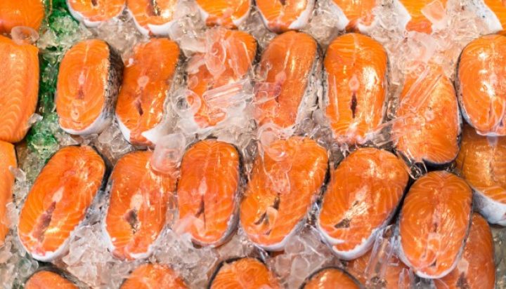 Tips Memilih Ikan Salmon Segar Di Pasar Atau Supermarket