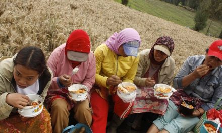 Dampak Perang Terhadap Industri Pangan Dan Distribusi Makanan