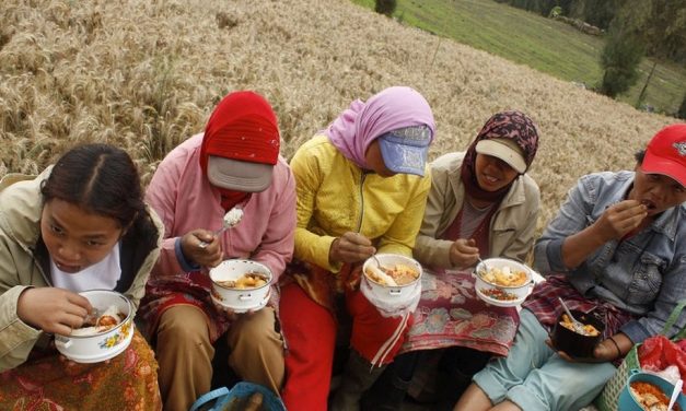 Dampak Perang Terhadap Industri Pangan Dan Distribusi Makanan
