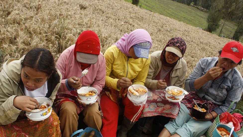 Dampak Perang Terhadap Industri Pangan Dan Distribusi Makanan