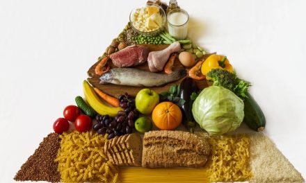 Makanan Bergizi Yang Wajib Ada di Meja Makan Anda