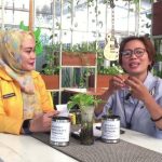 Strategi Personal Branding Politisi Perempuan Di Indonesia