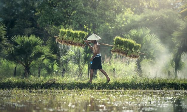 Ramalan Cuaca Membantu Aktivitas Pertanian Dan Transportasi