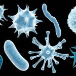Mengenal Virus: Jenis, Cara Penyebaran, Dan Upaya Pencegahan