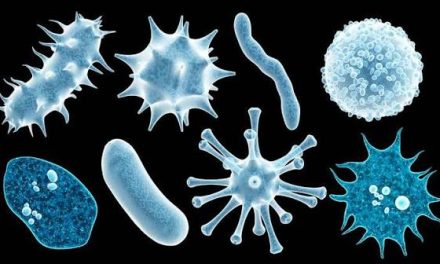 Mengenal Virus: Jenis, Cara Penyebaran, Dan Upaya Pencegahan