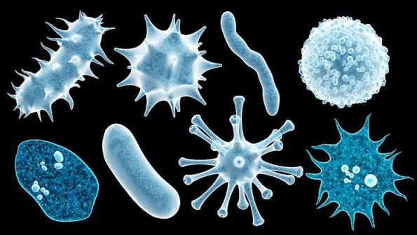 Mengenal Virus: Jenis, Cara Penyebaran, Dan Upaya Pencegahan