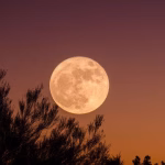 Fakta Menarik Tentang Bulan Satelit Alami Bumi