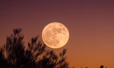 Fakta Menarik Tentang Bulan Satelit Alami Bumi