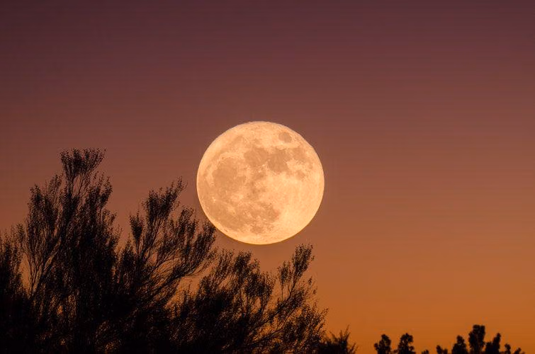 Fakta Menarik Tentang Bulan Satelit Alami Bumi