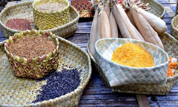 Pangan Lokal: Mengembangkan Potensi Makanan Nusantara