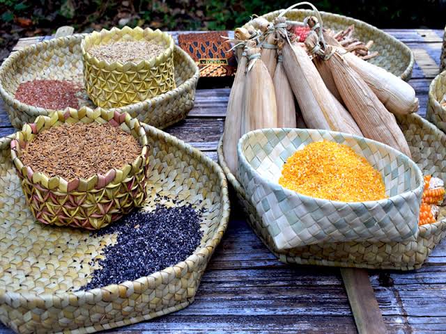 Pangan Lokal: Mengembangkan Potensi Makanan Nusantara